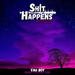 Vau Boy - What I Offer You (Sh!t Happens Bootleg)