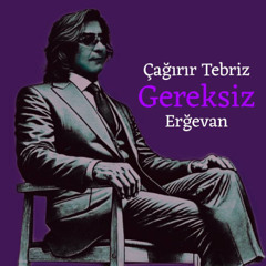 Gereksiz