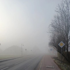 мило материшься