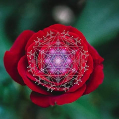 ✯ ❂ ⋆ ✱ Shalom Elohim ✯ ❂ ⋆ ✱