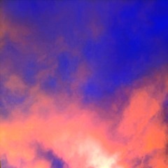 Housey Schmausi Flomi mit Einzeller @Studio Sumo