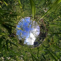 Cult - Hide And Seek