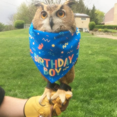 Witness x AIN'T NOTHIGN LIKE A FUNKY BEAT mashup