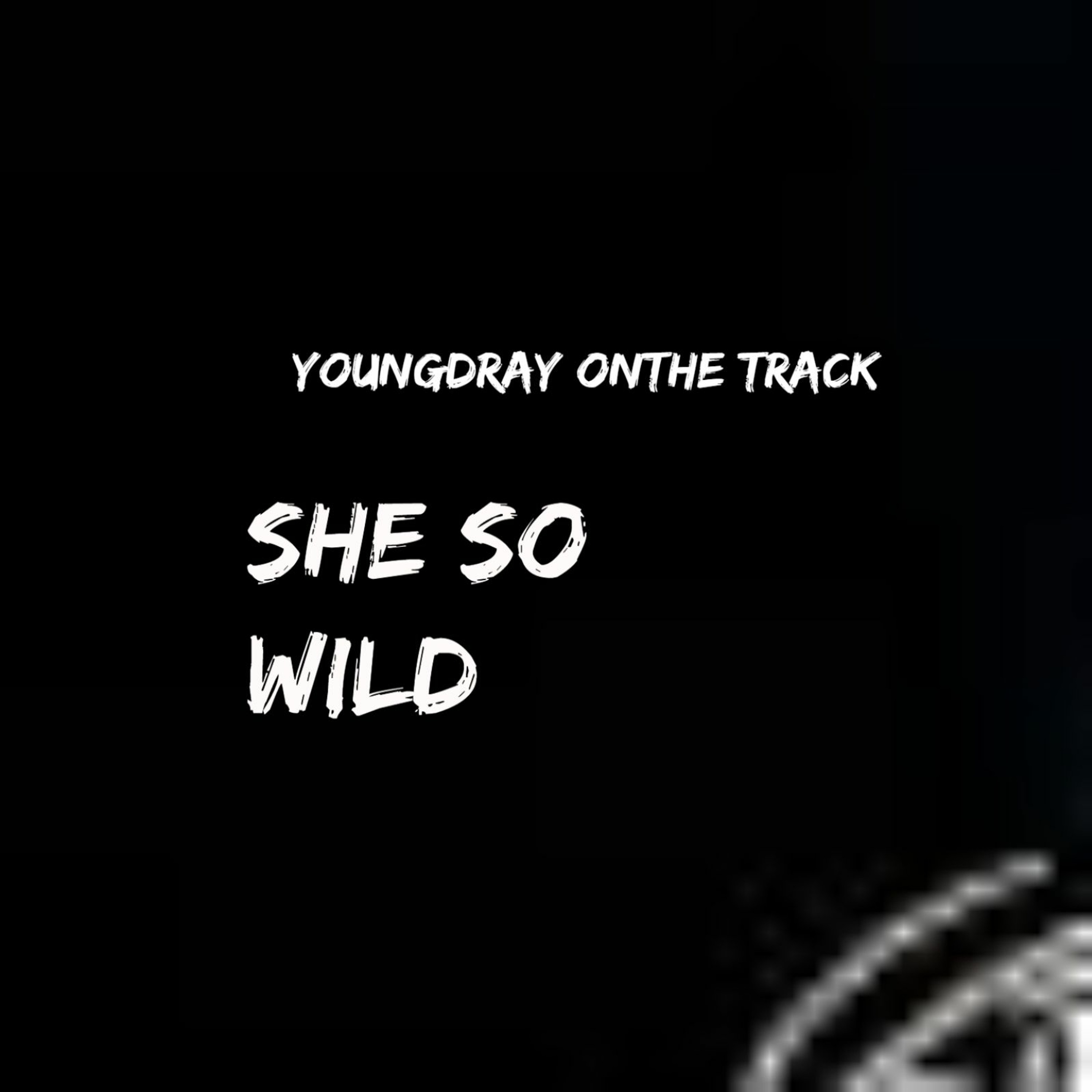YoungDray OnThe Track