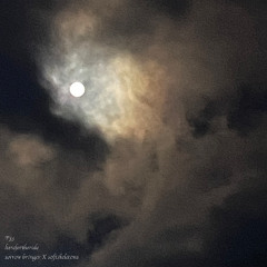 herefortheride (prod. sorrow bringer X s0ftskelet0ns)