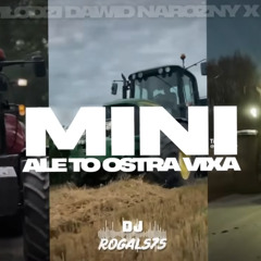 PIĘKNI I MŁODZI DAWID NAROŻNY X RIZI PAPI - MINI ALE TO OSTRA VIXA (ROGAL575 MASHUP)