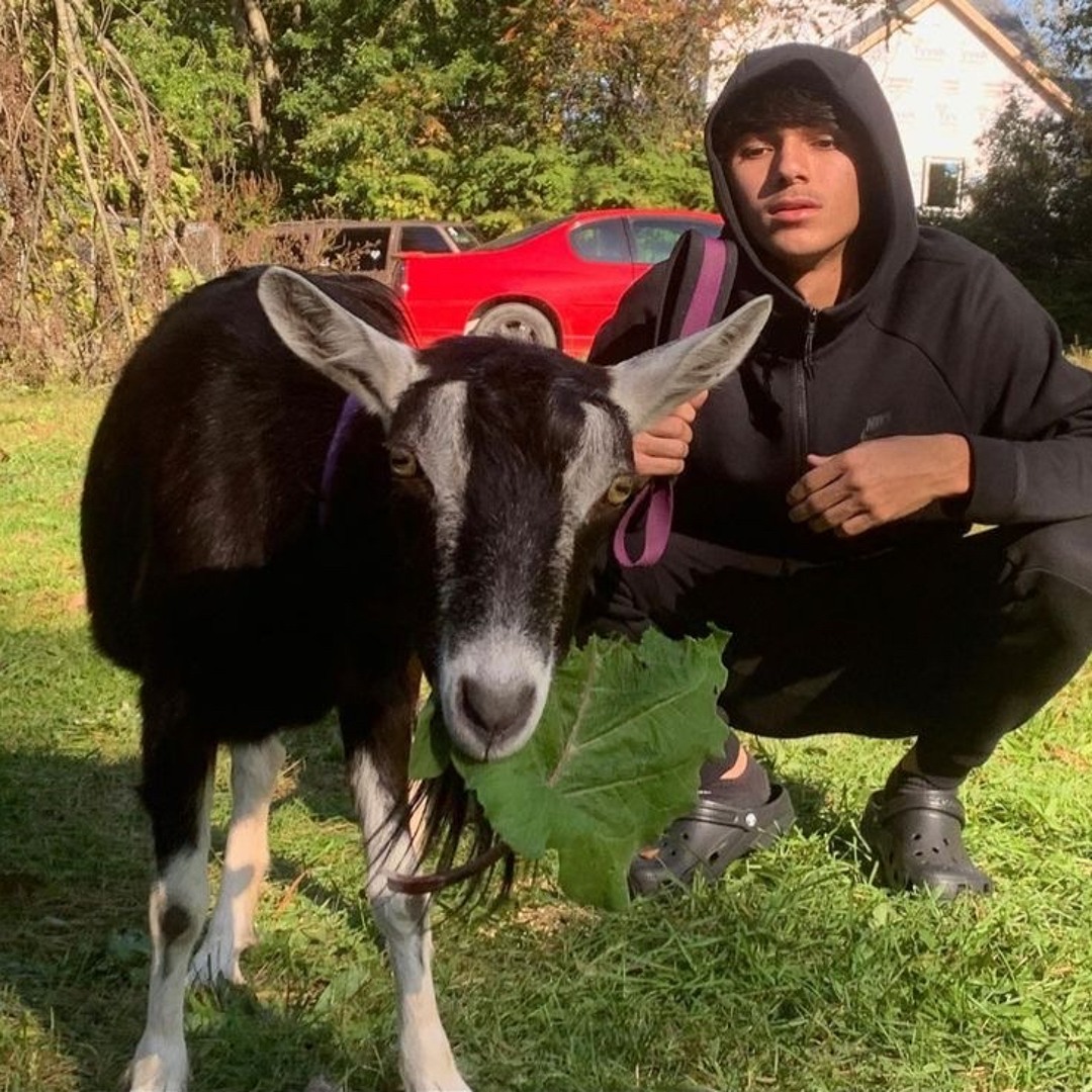 old babytron🐐