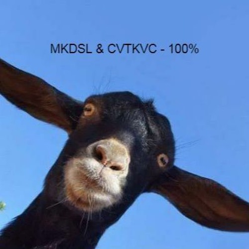 MKDSL & CVTKVC - 100 %