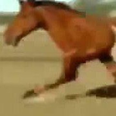 Onii Chan , I Have a Dick - Leo Motoko - ( TrapHorny TikTok song )