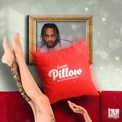 Iwaata - Pillow(Raw)