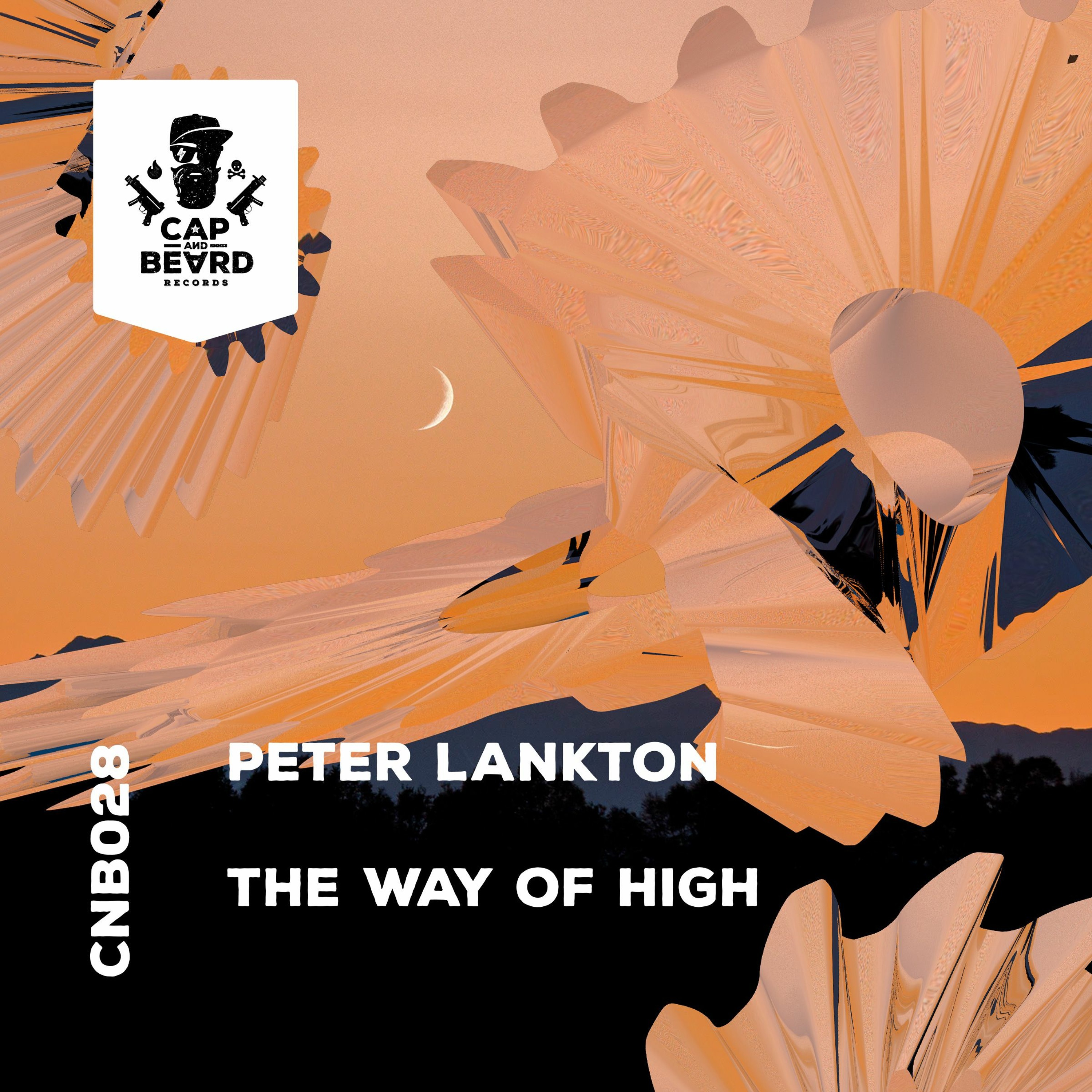 Peter Lankton