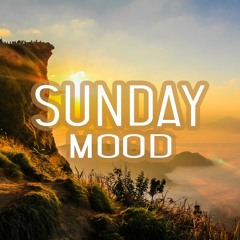 I'll See It Through (Sunset Derek Remix) [feat. Yalena]