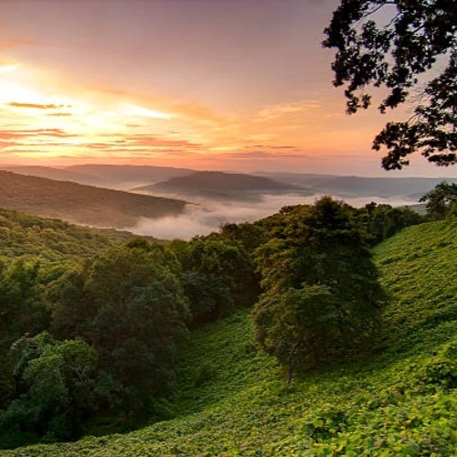 Spring Sunrise In The Ozark Mountains