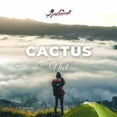 Nect - Cactus