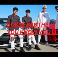 Dobre Brothers - You Know You Lit (Official Music Video)