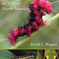 get [PDF]  Caterpillars of Eastern North America: A Guide to Identificat