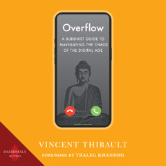 Overflow audiobook sample