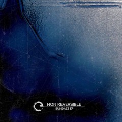 Non Reversible - Sundaze EP - Children Of Tomorrow