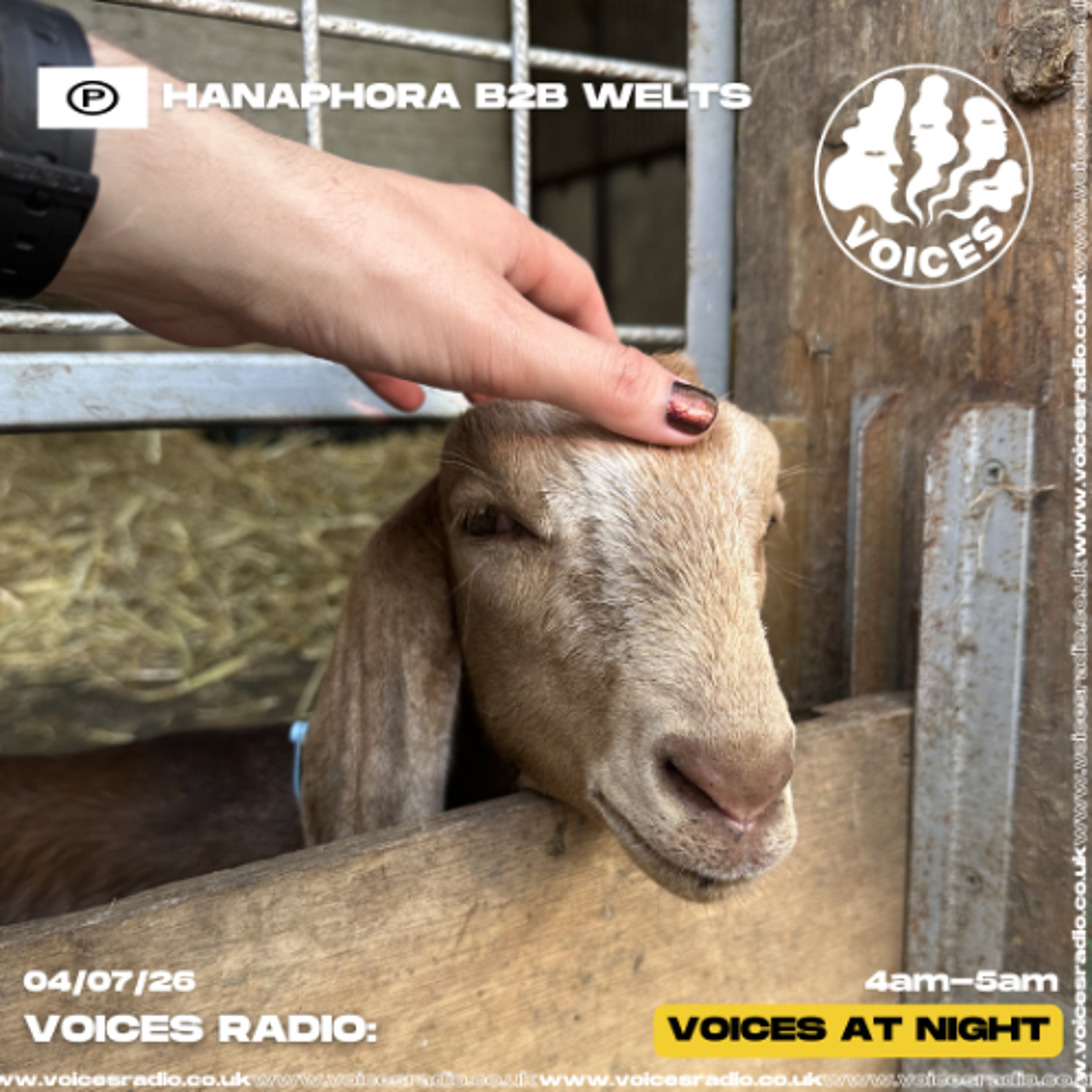 hanaphora - 04/07/26 [Voices Radio] episode artwork