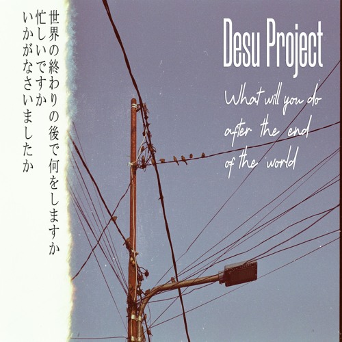 What will you do  after  the  end  of the  world?