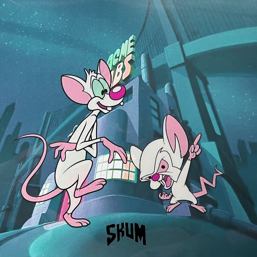 Pinky And The Brain (Dubstep Remix)