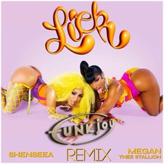 Shenseea, Megan Thee Stallion - Lick (funkjoy Remix)
