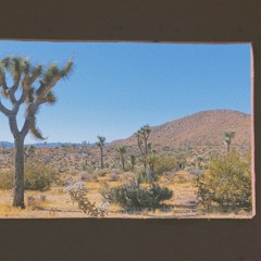 i lost my menu in the desert