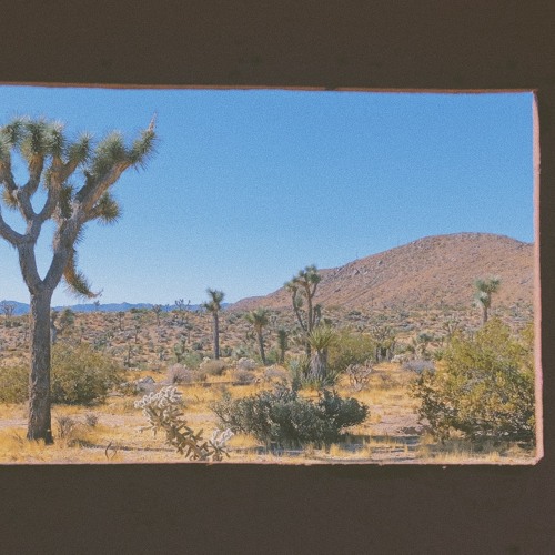 i lost my menu in the desert