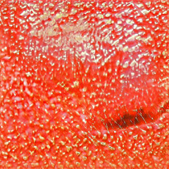 Oyster Juice's Dripping Down Their Scarlet Lips