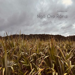 Tō Wairua feat. Keeli Ferris and Salome Fa'aso'o (Junus Orca Vocal Mix)