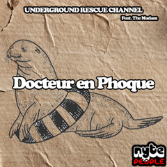 Docteur en Phoque