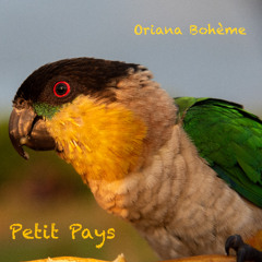 Petit Pays