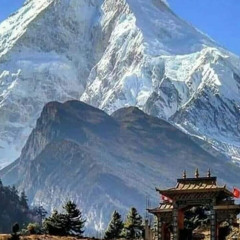 Live in the Mountains