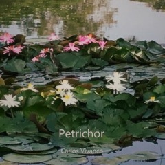 Petrichor