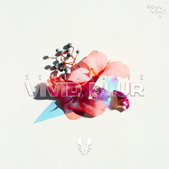 Screamarts - Vivid Blur [Premiere]