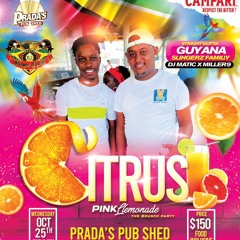 SLINGERZ FAMILY LIVE AT PRADA'S PUB SHED GRENADA PT2