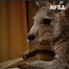 Kangaroo Cheese (Skippy Theme Song Remixed 2022)