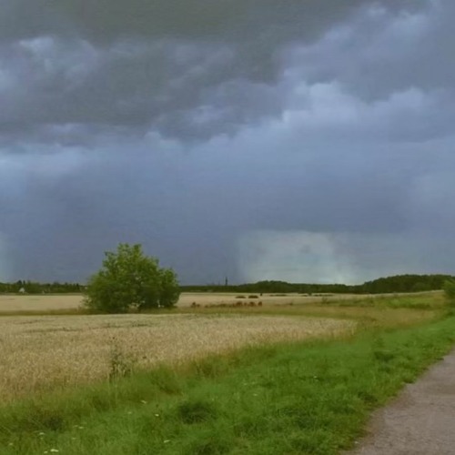 mây rơi nơi sườn đồi