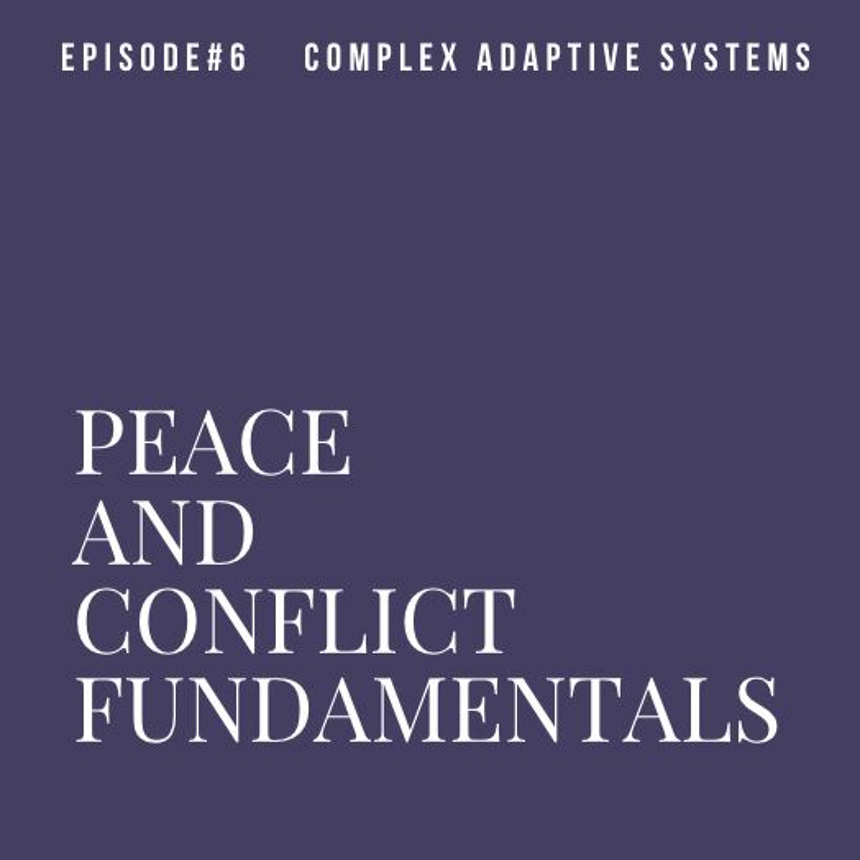 Peace and Conflict Fundamentals