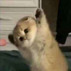 Không chỉ là thoáng qua - Open Verse Challenge