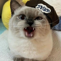 Melody zexxo sped up viral tiktok!!<3