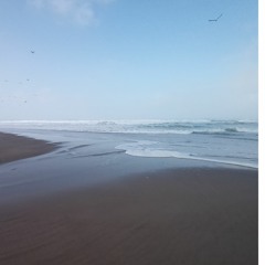 Footprints In The Sand