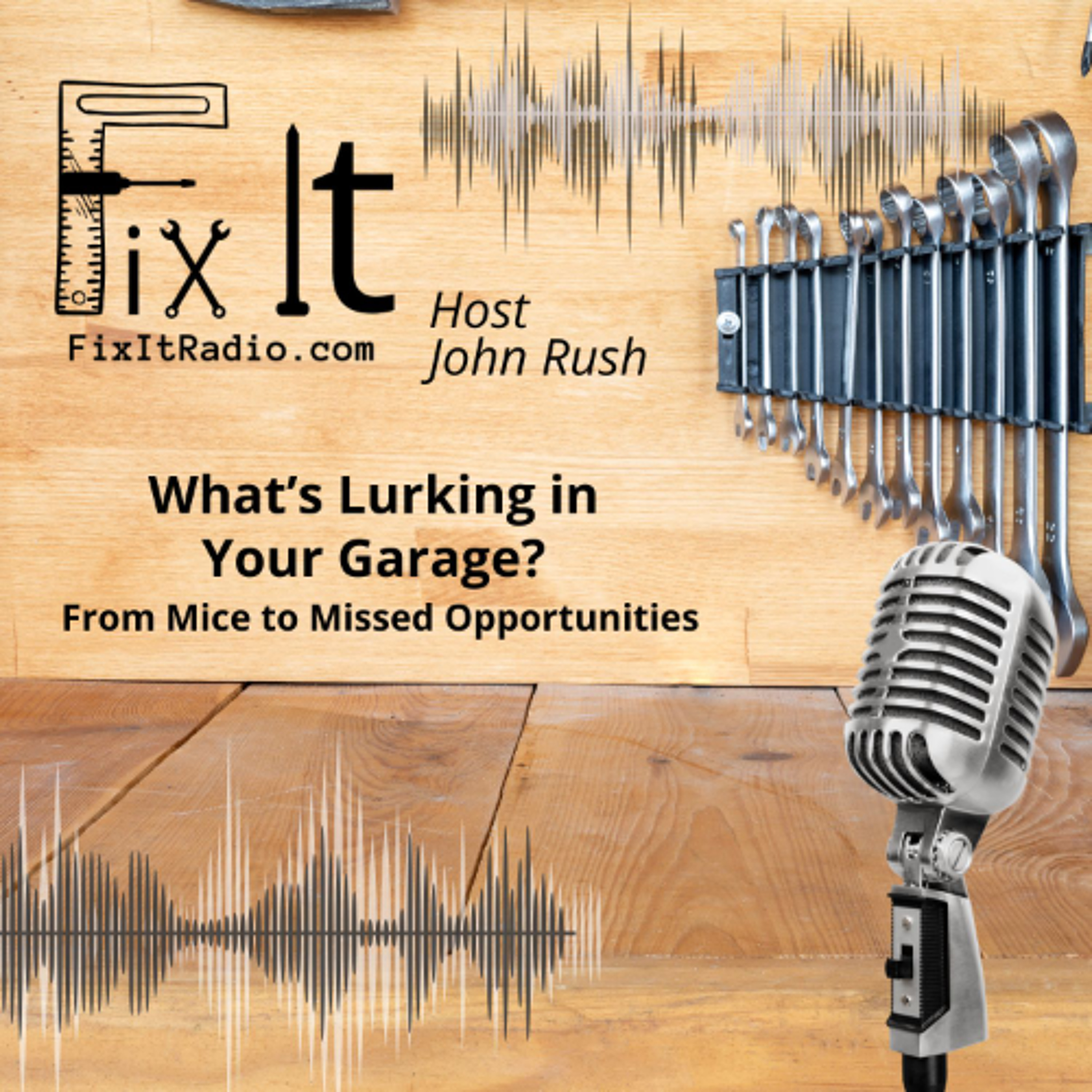 FIX IT RADIO: What’s Lurking in Your Garage? From Mice to Missed Opportunities.  (07-12-25) episode artwork