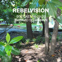 David Schumann - Rebel Vision Podcast 04