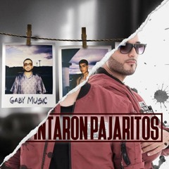 Gaby Music x Andy Rivera - No Te Quieren Conmigo x Pajaritos En El Aire (Martins Mashup)