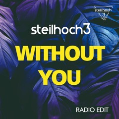 Steilhoch3 x Without You (Radio Edit)