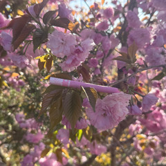 //2025//04//28//your_time_is_a_bare_minimum//quick_draft//