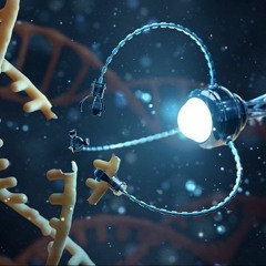 The Fig, The Seeds, & The VACCINES - [Strong Content Please HEED & Be Warned!!]