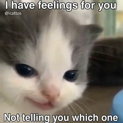 Share Our Diaries (Demo)