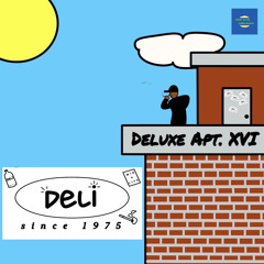 deluxe apt xvi